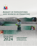 Budget of Expenditures and Sources of Financing FY 2024