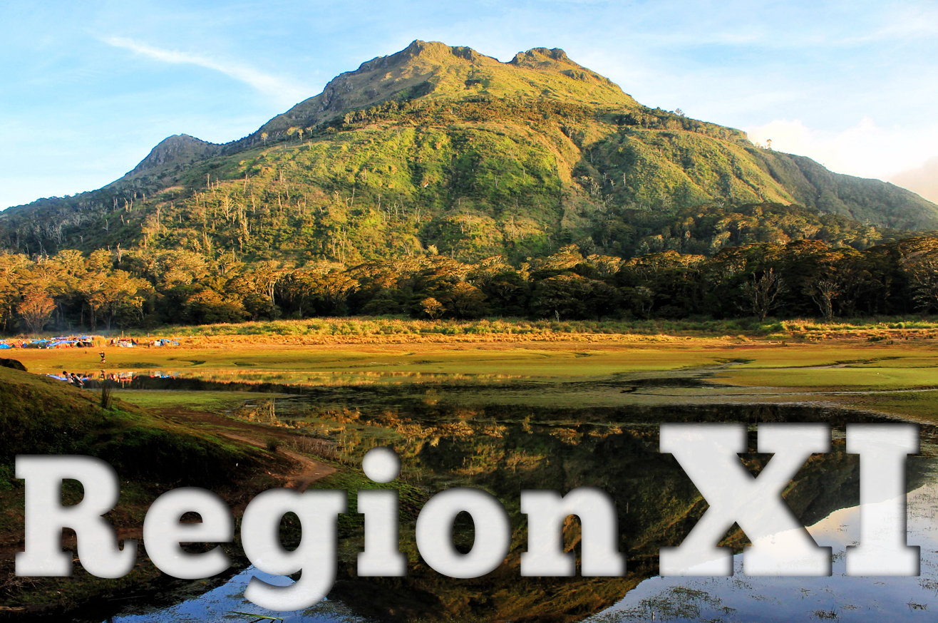 Region XI